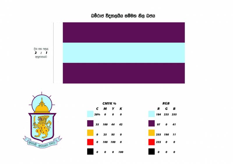 Logoflagcolours.jpg